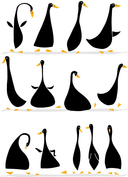 有趣的鹅设置草图为您的设计图片下载