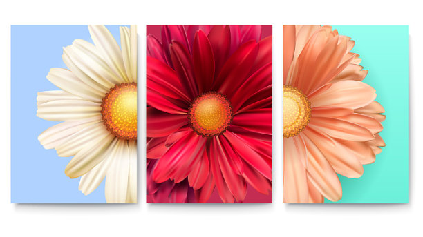 一组春花封面特写图片下载