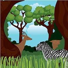 野生动物在丛林中的场景图片下载