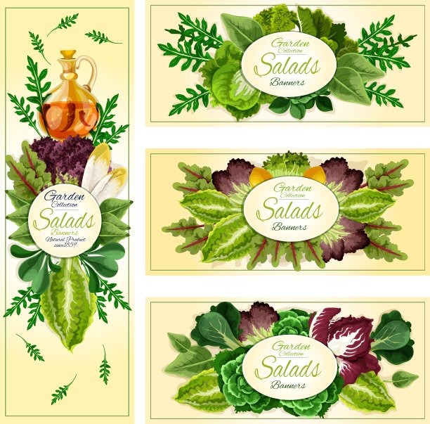 沙拉叶蔬菜横幅套装图片下载