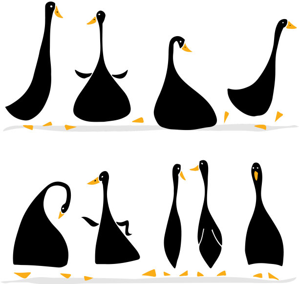 有趣的鹅设置草图为您的设计图片下载