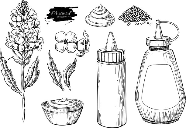 芥末酱套画手绘图片下载