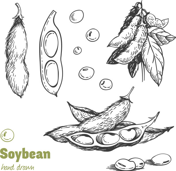 大豆手工绘图机图片下载