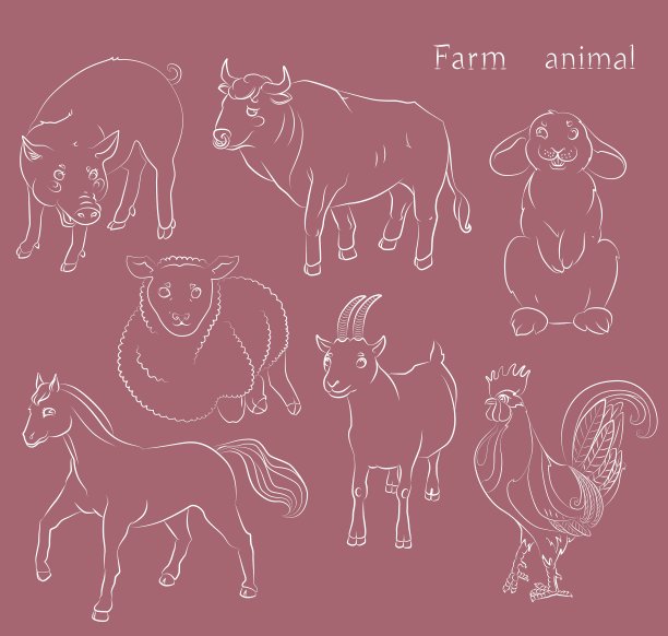 公牛公鸡山羊马猪兔子绵羊图片下载