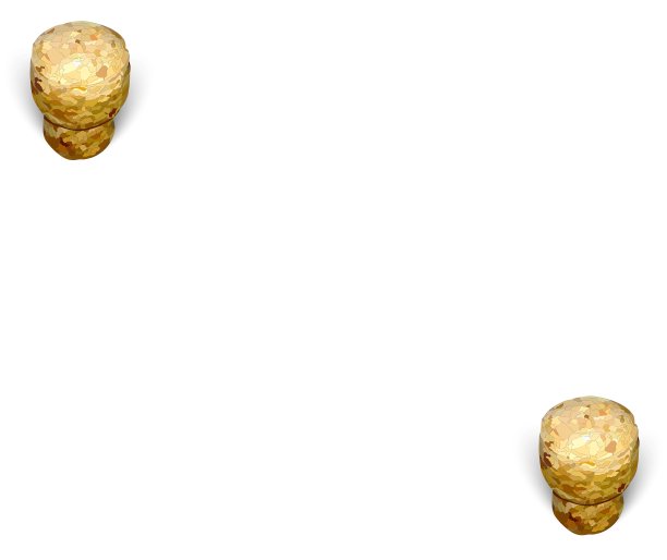 两瓶软木香槟呈斜白色图片下载