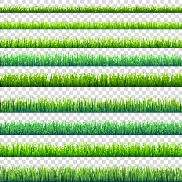 草孤立在透明的背景设置图片下载