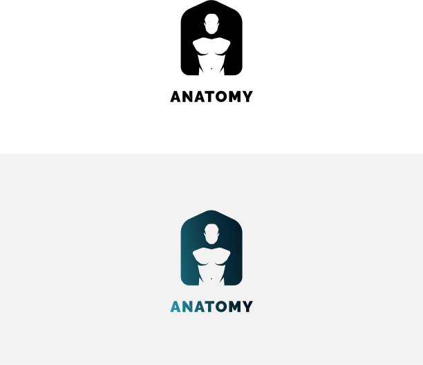 人体躯干的解剖学标志图片下载