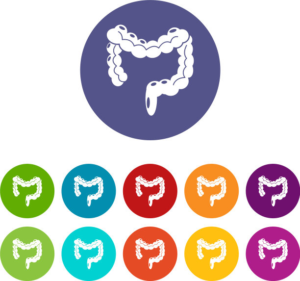 人体大肠图标设置颜色图片下载