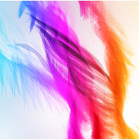 丰富多彩的抽象背景图片下载