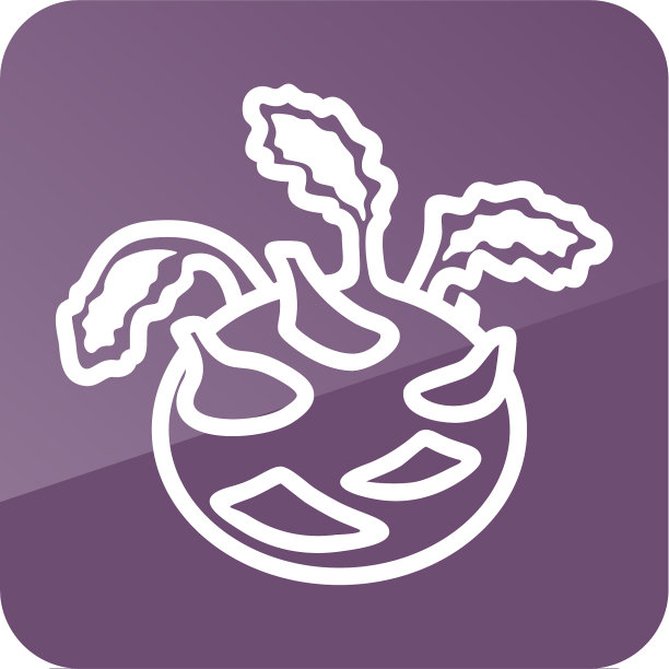 大头菜轮廓图标蔬菜图片下载