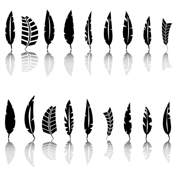 集鸟类羽毛图片下载