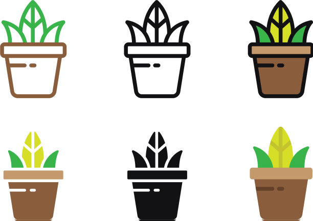 在花盆中放置花卉和盛开的仙人掌图片下载