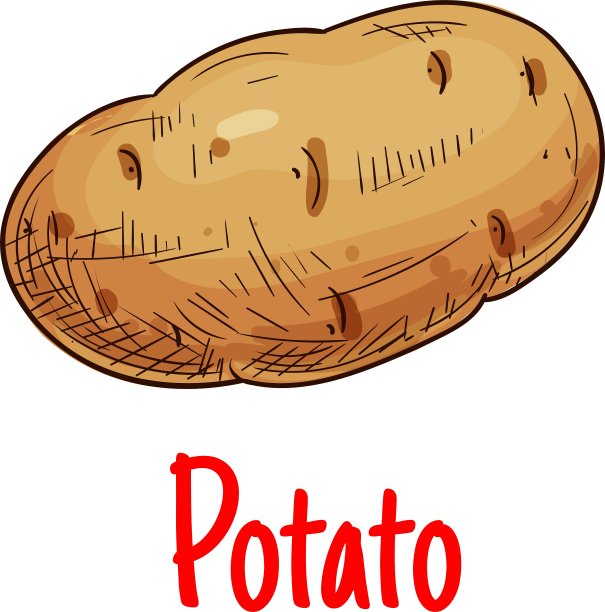 马铃薯块茎蔬菜素描图标图片下载