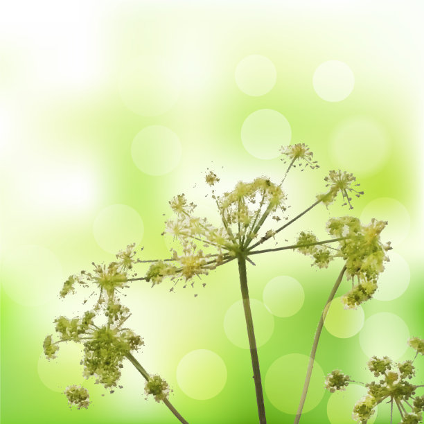 夏天的海报图片下载