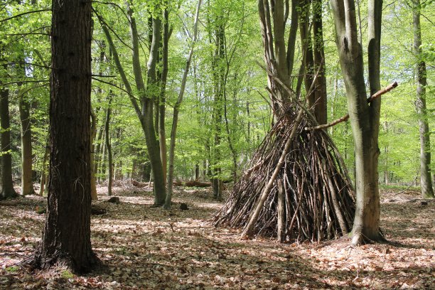 沃尔茨皮尔图片下载