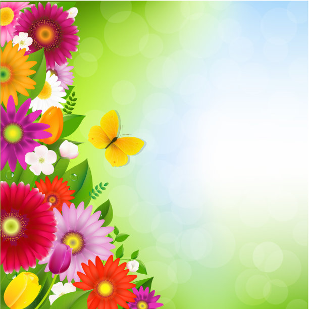 镶边花与蝴蝶图片下载