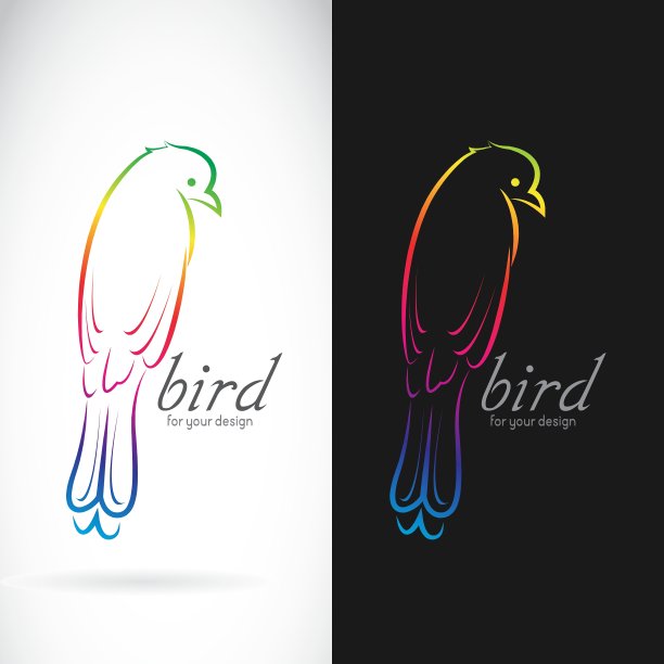 鸟燕卷尾图片下载