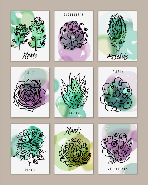 多肉小横幅卡片套装图片下载