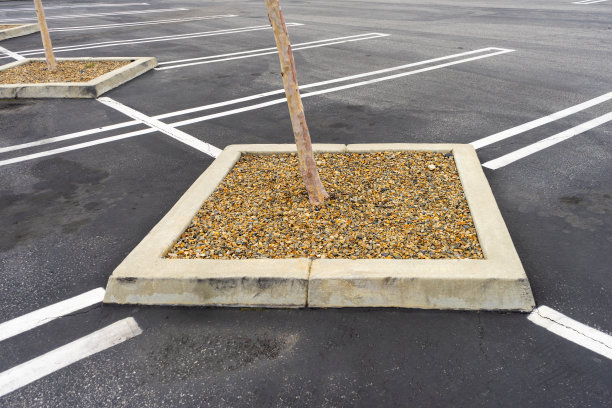 广场混凝土边缘与幼树和岩石覆盖在一个停车场图片下载