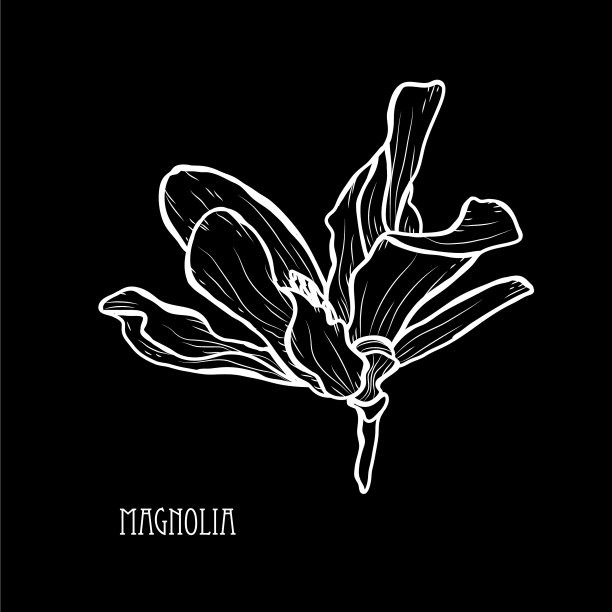 手绘花卉装饰图片下载