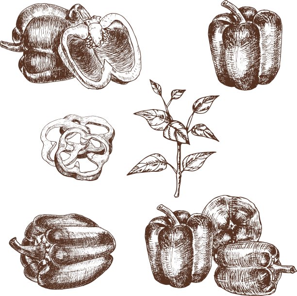 手绘一组灯笼椒图片下载