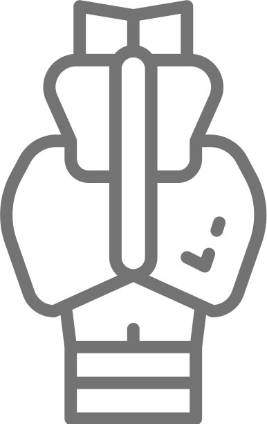 脊柱尾骨骶骨髂骨尾椎坐骨图片下载