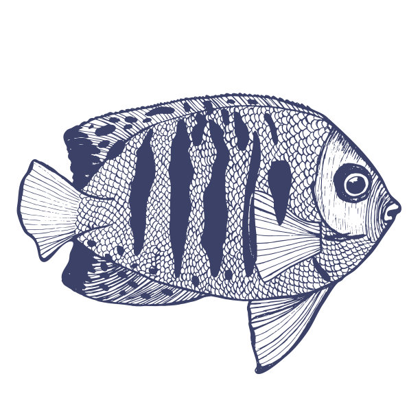 火焰天使鱼手绘风格图片下载