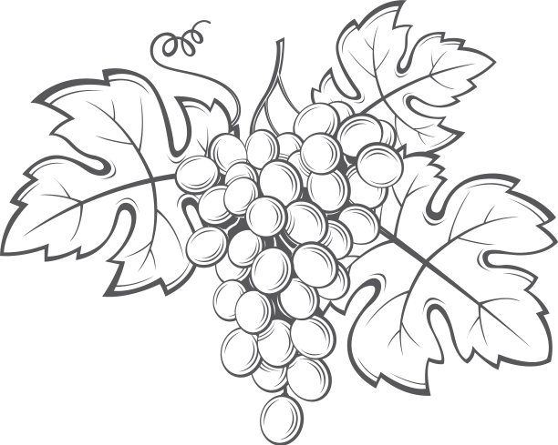 葡萄串的形象图片下载