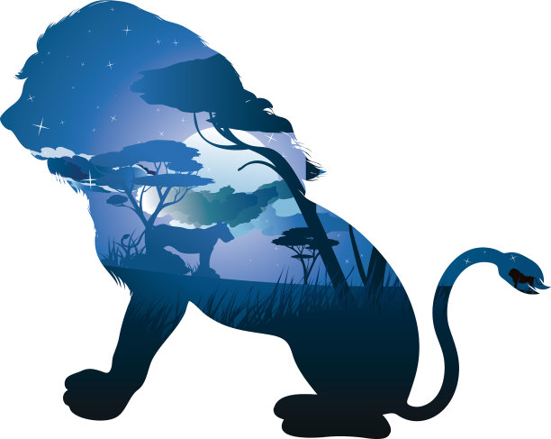 非洲狮夜图片下载