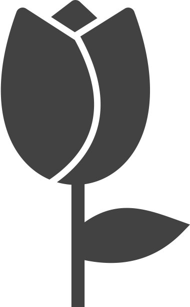 郁金香图片下载