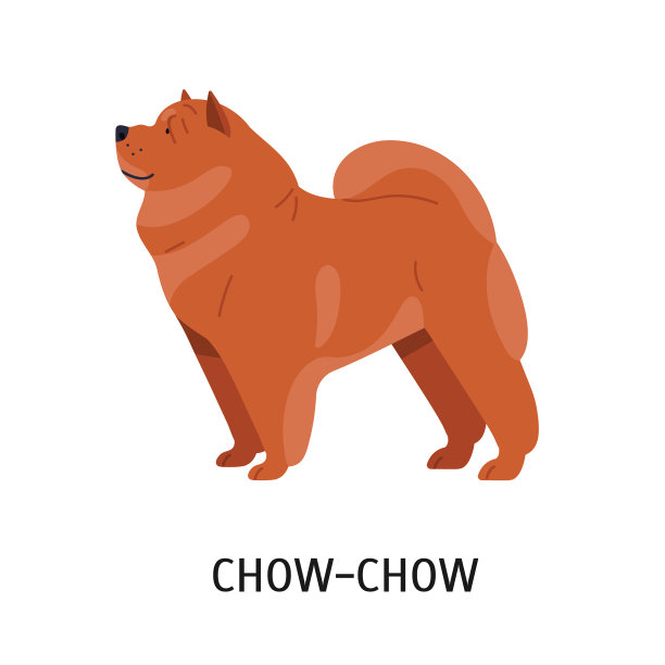 松狮犬可爱可爱，满脸皱纹图片下载