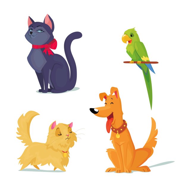 猫，狗和鹦鹉图片下载