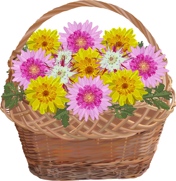 柳条篮子和菊花图片下载