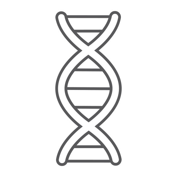 DNA细线图标染色体和生物学图片下载