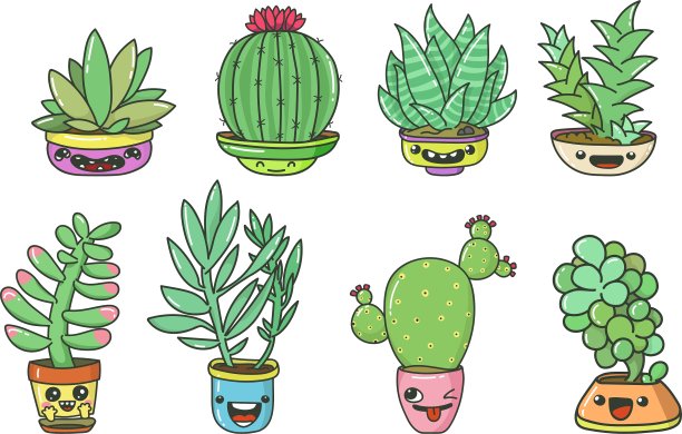 肉质植物组图片下载