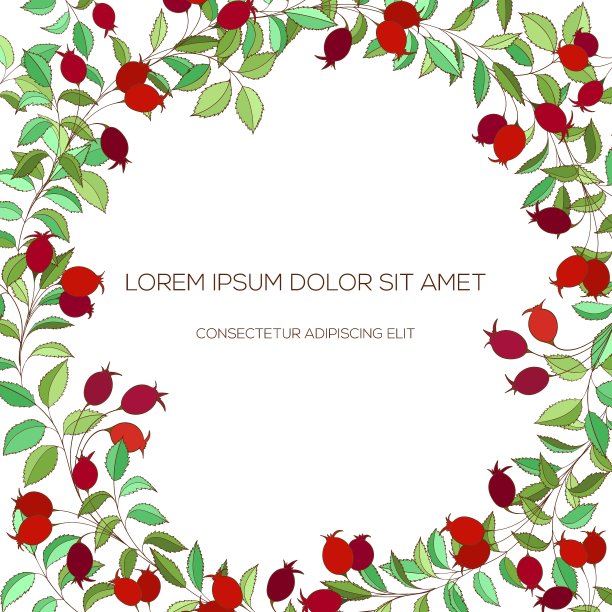 彩色手绘山楂花环图片下载