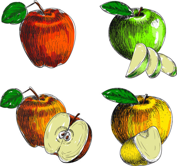 一套手绘苹果复古素描风格图片下载