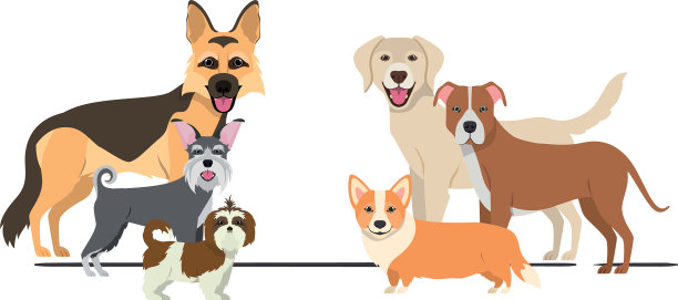 设置可爱的狗在白色的背景图片下载