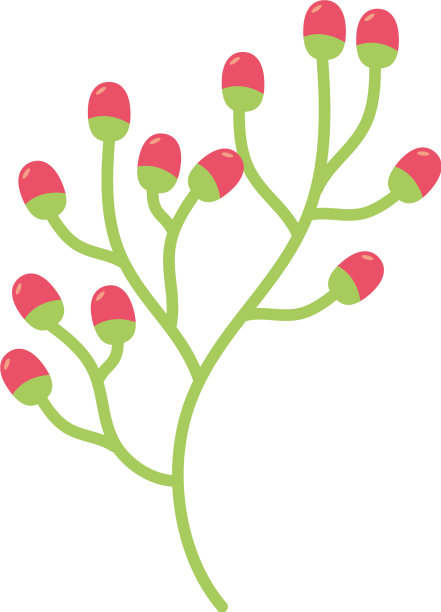 分支浆果的水果图片下载