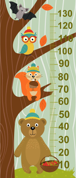 用森林动物测量树木的生长图片下载