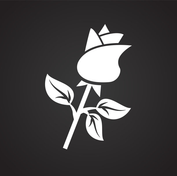 黑色背景上的玫瑰花礼物图片下载