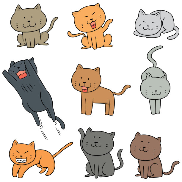 猫咪组合图片下载