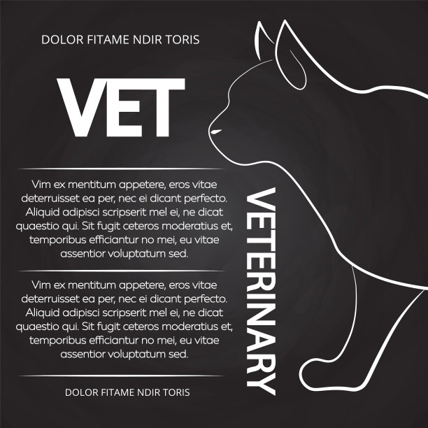 兽医黑板海报与猫的剪影图片下载