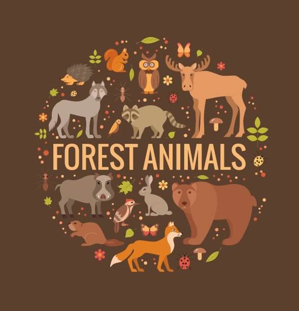 森林里的动物图片下载