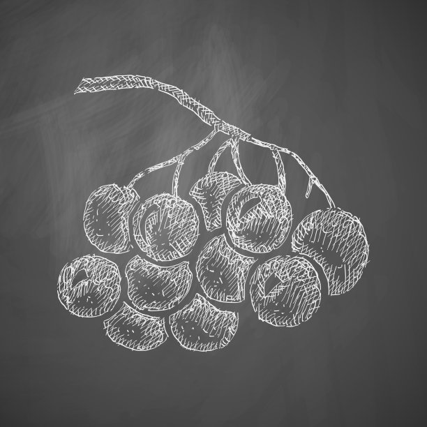 浆果图标图片下载