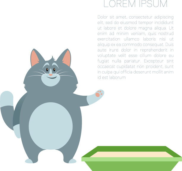 快乐的猫和它的小猫图片下载