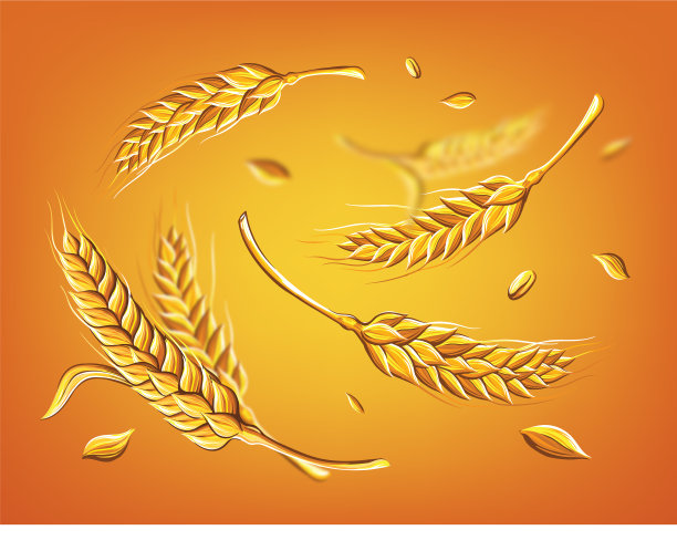 几穗小麦上的米色背景手图片下载