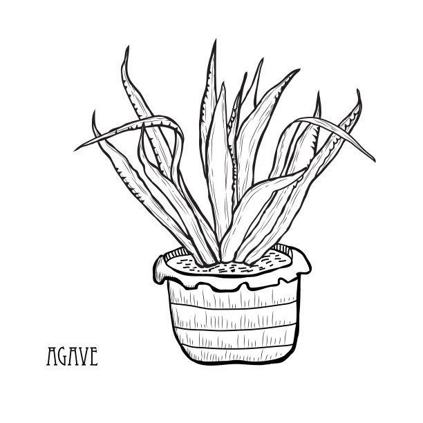 手绘花卉装饰图片下载