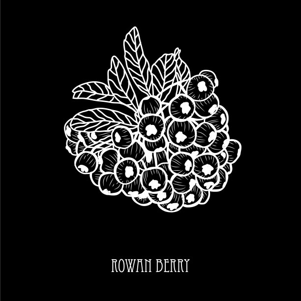 手绘花卉装饰图片下载