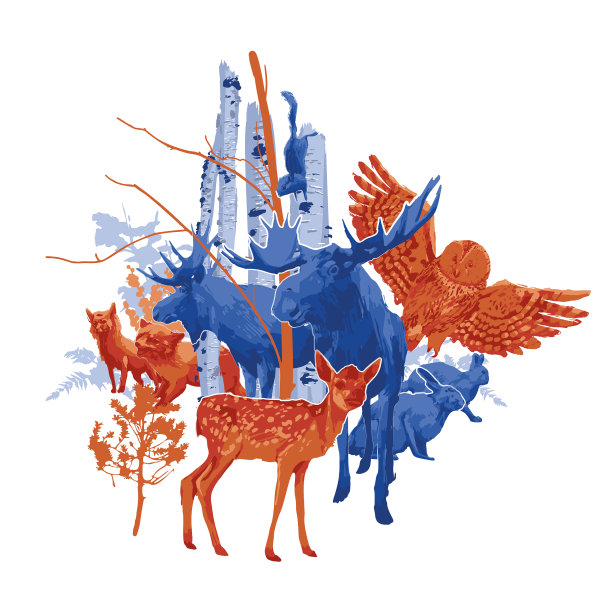 用桦树对不同的森林动物进行分组图片下载